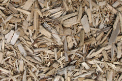 biomass boilers Hardraw